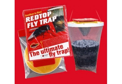 Redtop Fly Trap